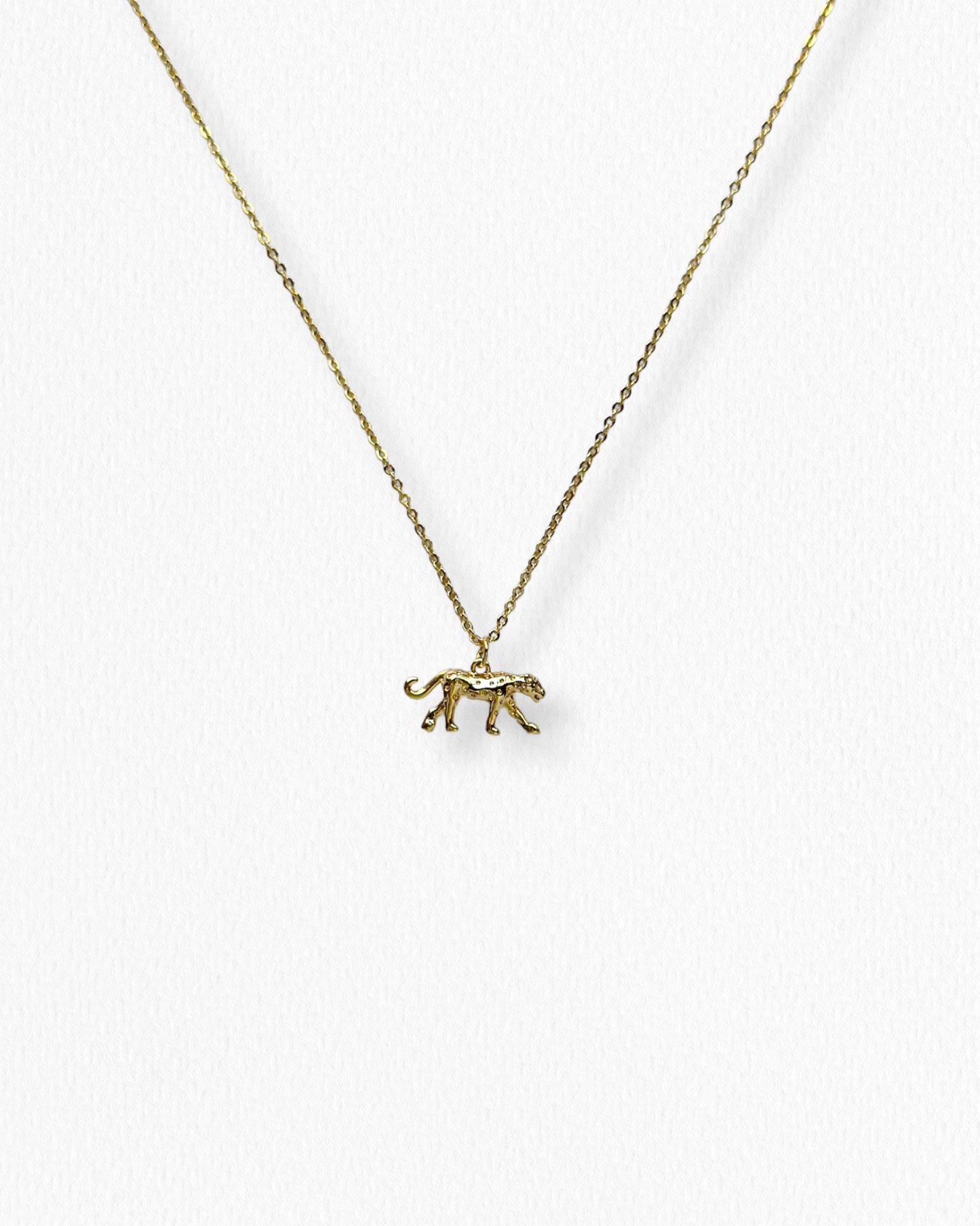 Cadena Leopardo