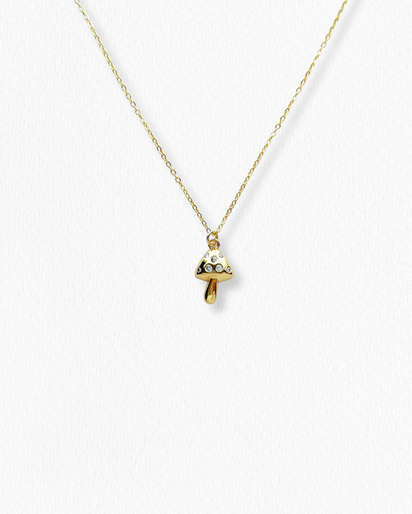 Cadena Hongo