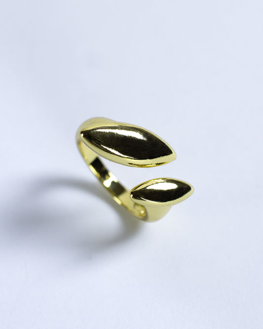 Anillo Ajustable